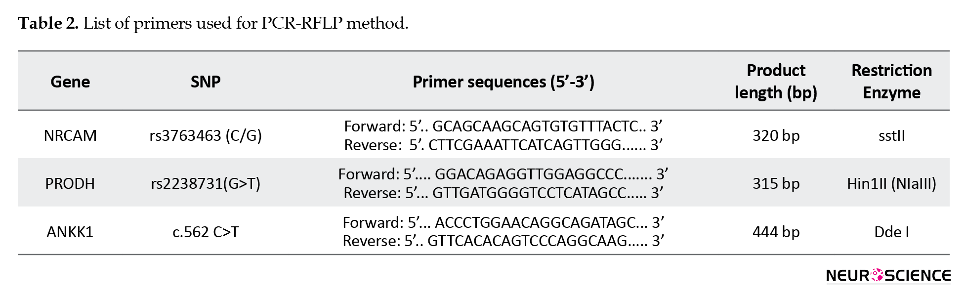 Gene Runner Primer Design